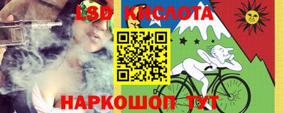 гидра Камышлов