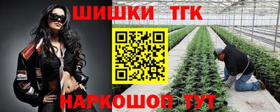 гидра Камышлов
