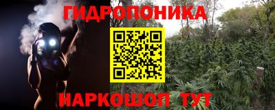трава Канаш