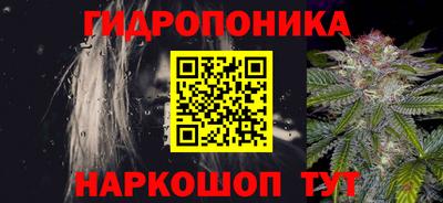 гидра Камышлов