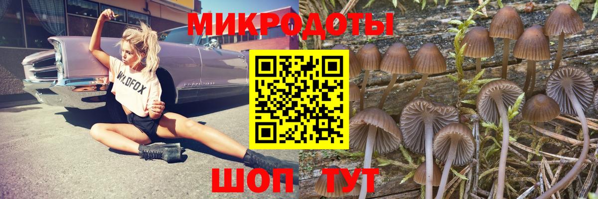 Псилоцибиновые грибы GOLDEN TEACHER Кудымкар