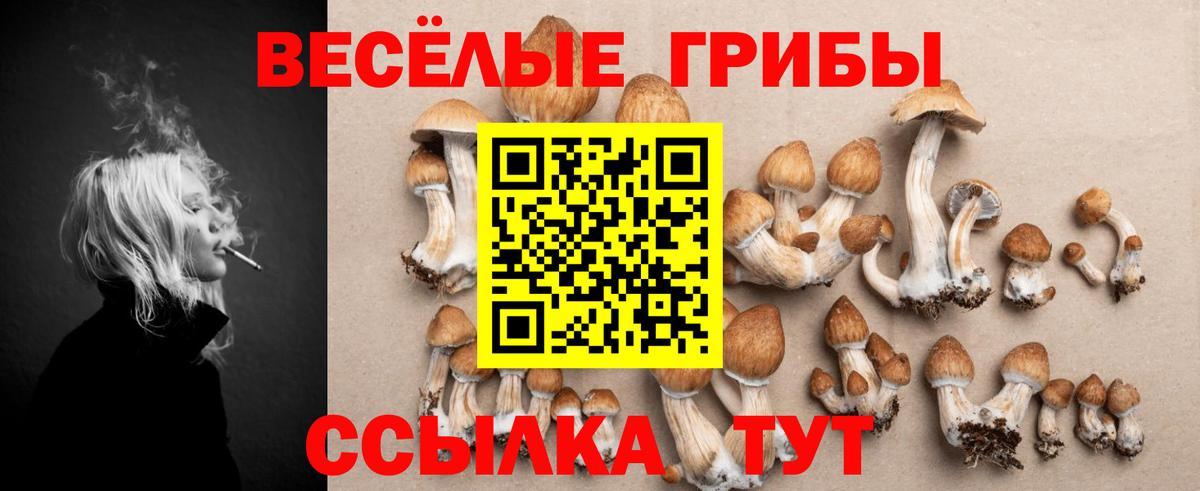 Кудымкар  Псилоцибиновые грибы ЛСД  Вход с VPN 